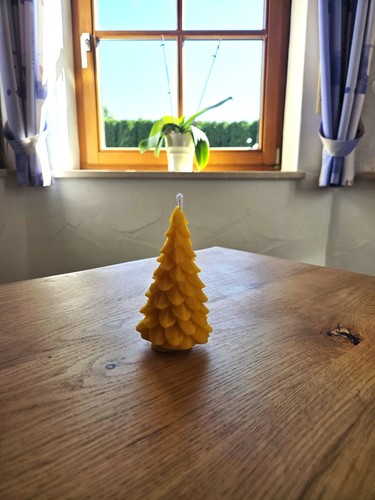 Kerze tannenbaum 5 - |, 11,5